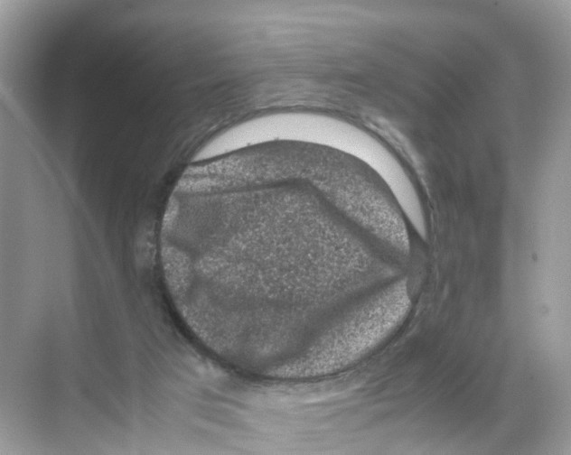 X0000070170017200606231933