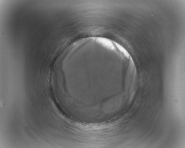 X0000070170018200606231932