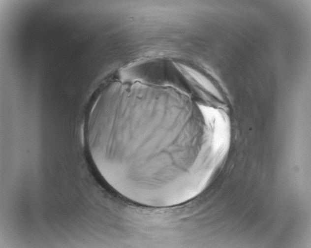 X0000070170019200606231932