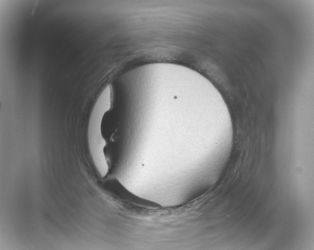 X0000070170021200606231932