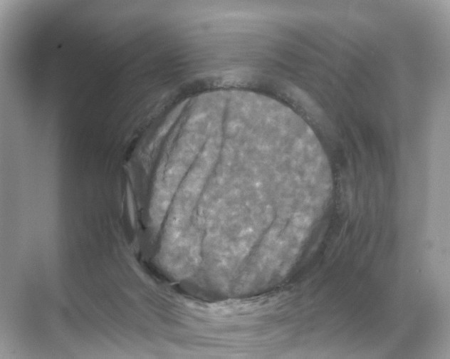 X0000070170022200606231932