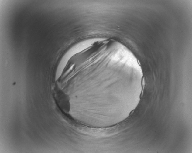 X0000070170023200606231932