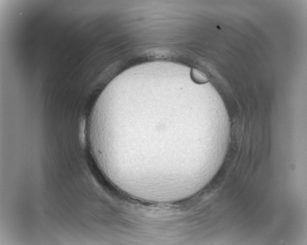 X0000070170024200606231932