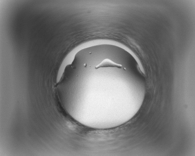 X0000070170025200606231932