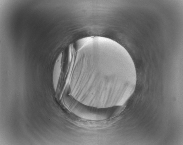 X0000070170027200606231932