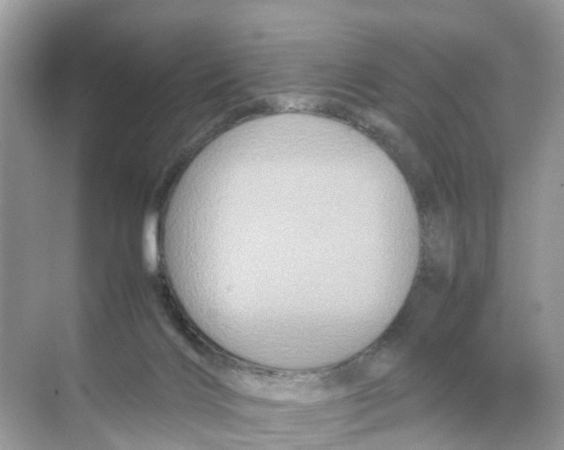 X0000070170028200606231932