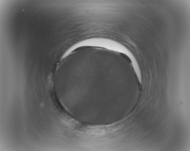 X0000070170029200606231932