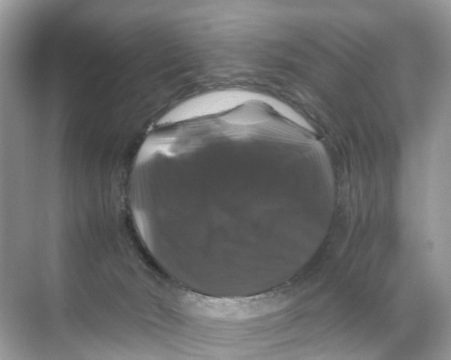 X0000070170030200606231932