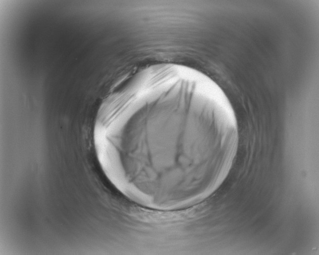 X0000070170031200606231932