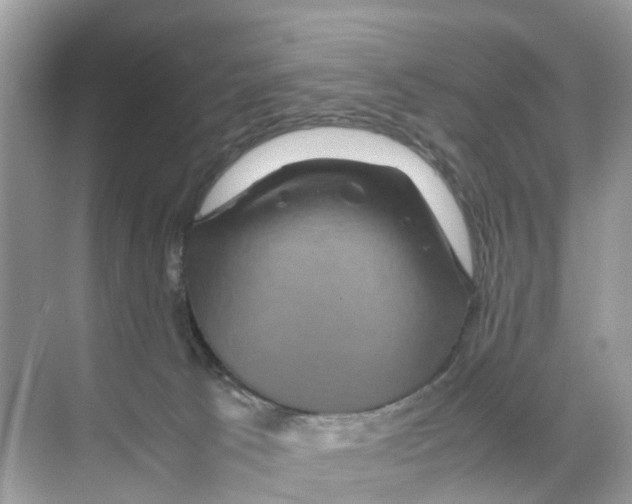 X0000070170033200606231932