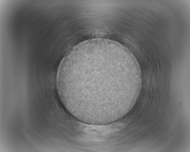 X0000070170034200606231932