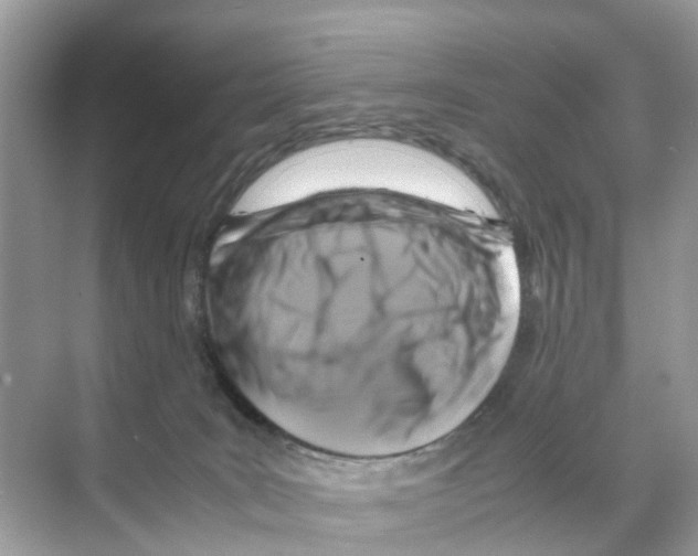 X0000070170035200606231932