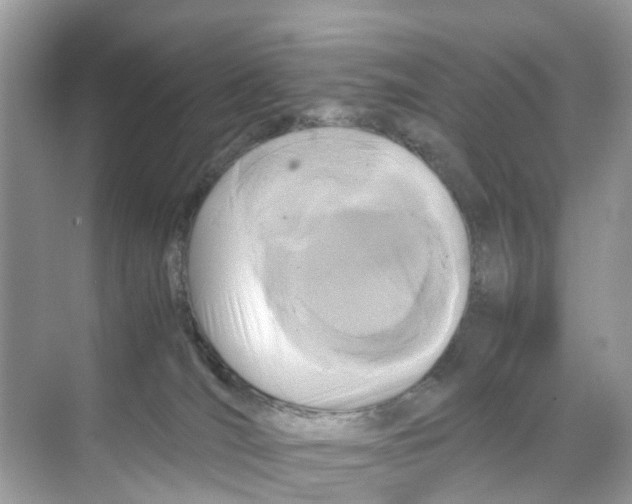 X0000070170036200606231932