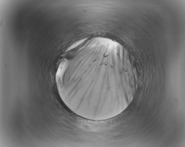 X0000070170039200606231932