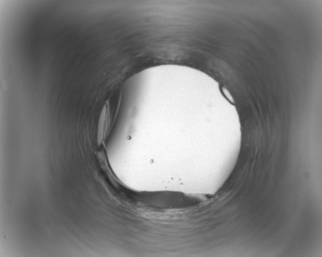 X0000070170040200606231932