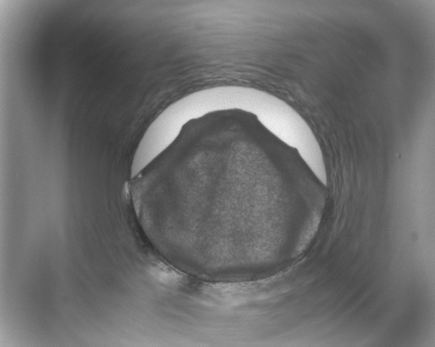 X0000070170041200606231932