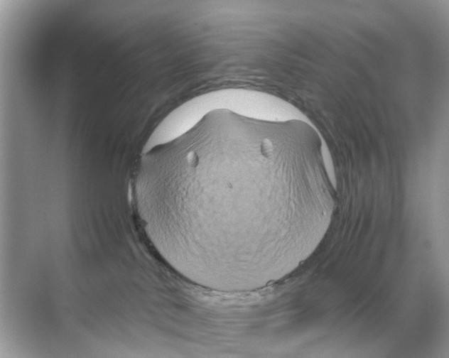 X0000070170042200606231932