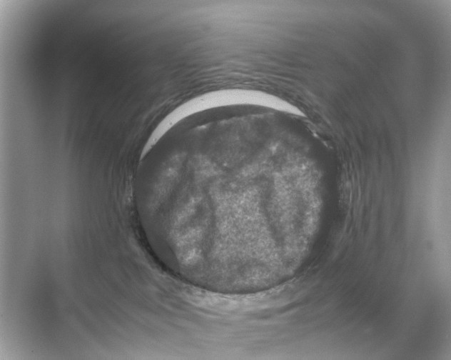 X0000070170043200606231932