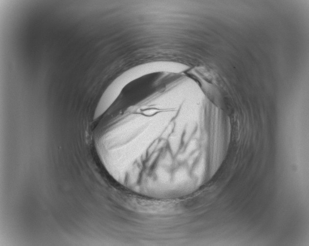 X0000070170044200606231932