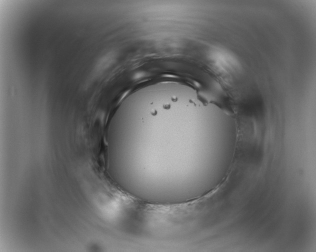 X0000070170045200606231932