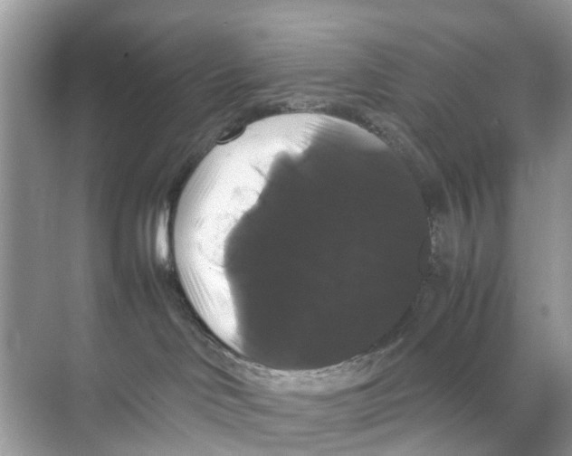 X0000070170046200606231932