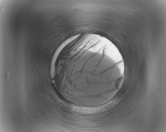 X0000070170048200606231932