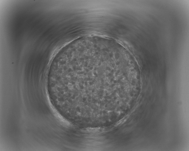 X0000070170049200606231931