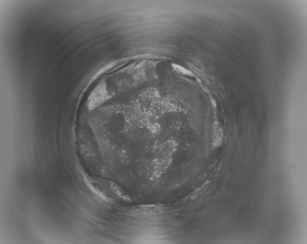 X0000070170050200606231931