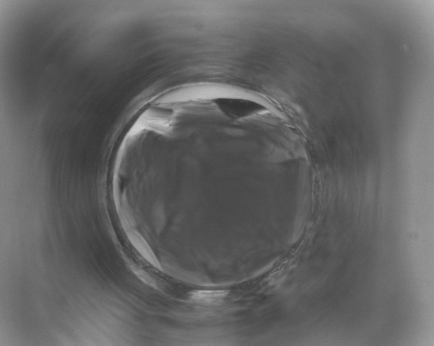 X0000070170051200606231931