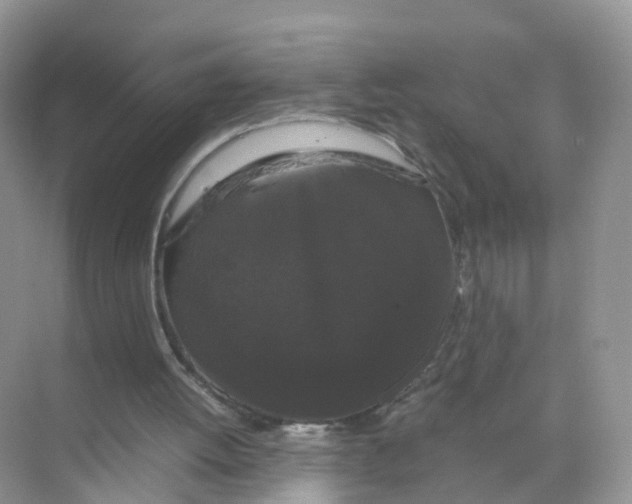 X0000070170052200606231931