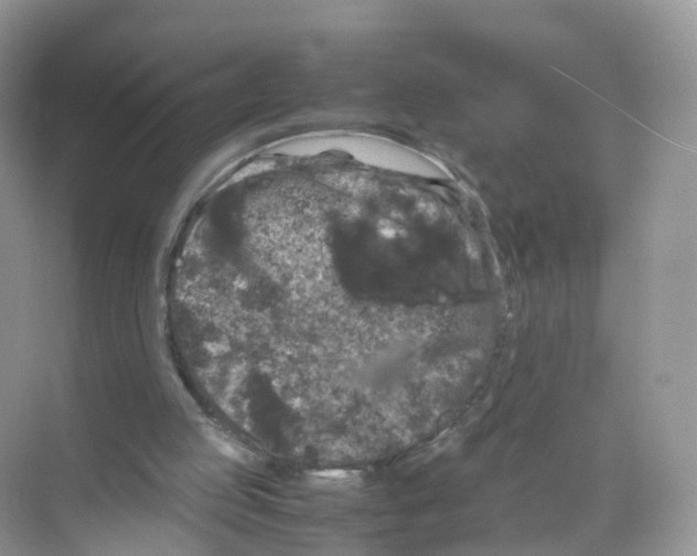 X0000070170053200606231931