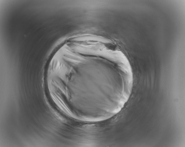 X0000070170054200606231931