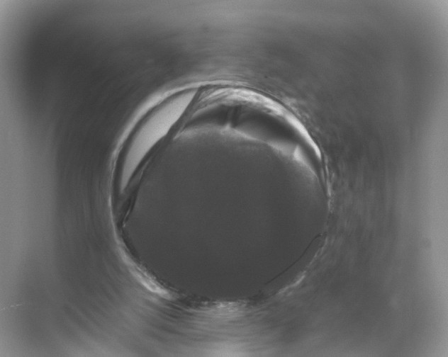 X0000070170056200606231931