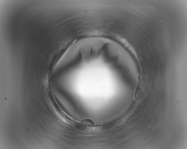 X0000070170057200606231931