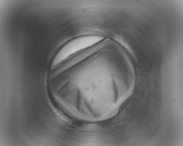 X0000070170058200606231931