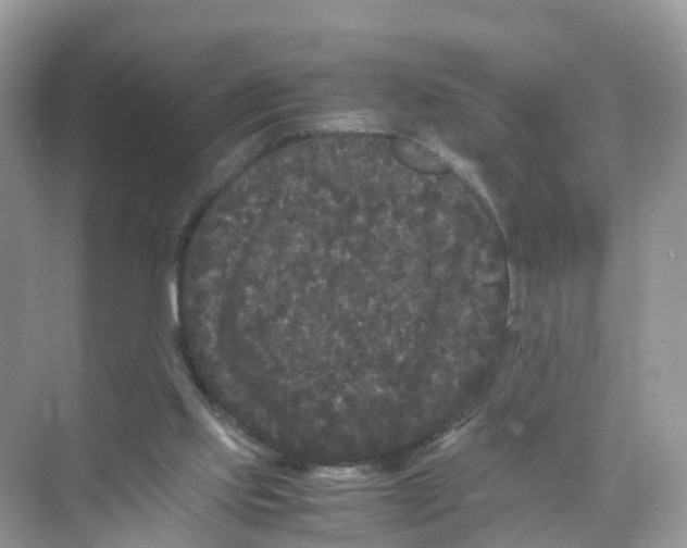 X0000070170061200606231931