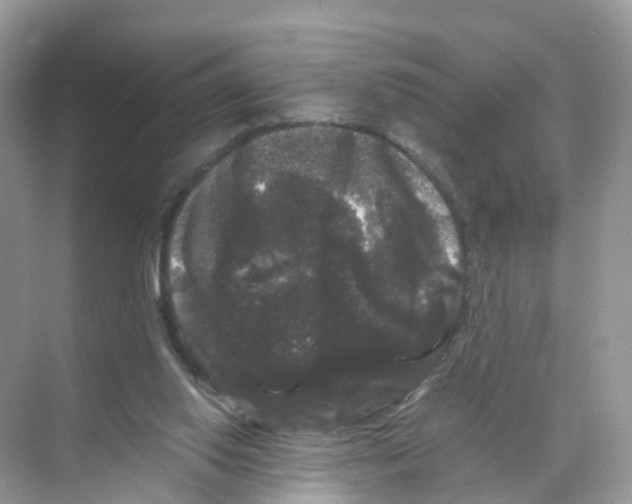 X0000070170062200606231931