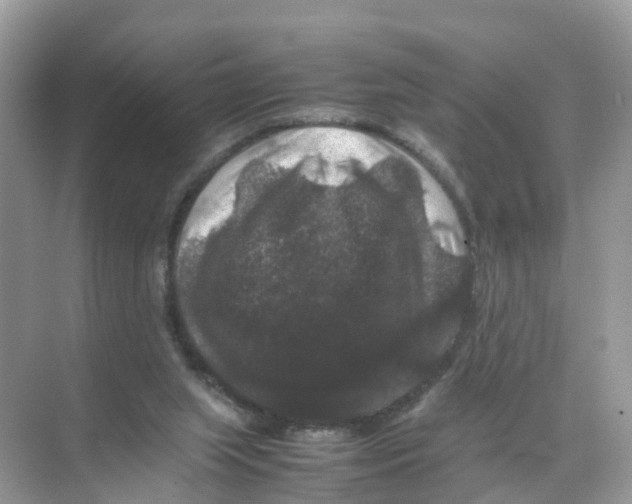 X0000070170063200606231931