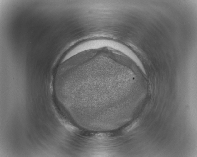 X0000070170064200606231931