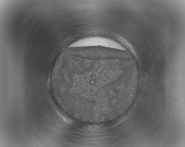 X0000070170065200606231931