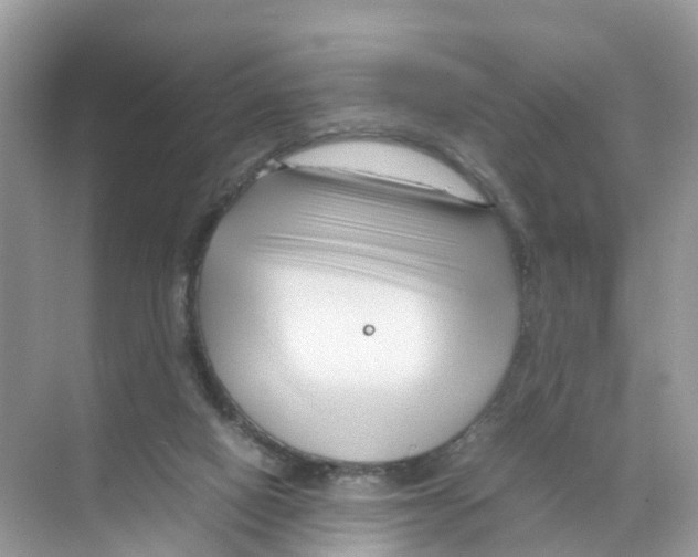 X0000070170066200606231931