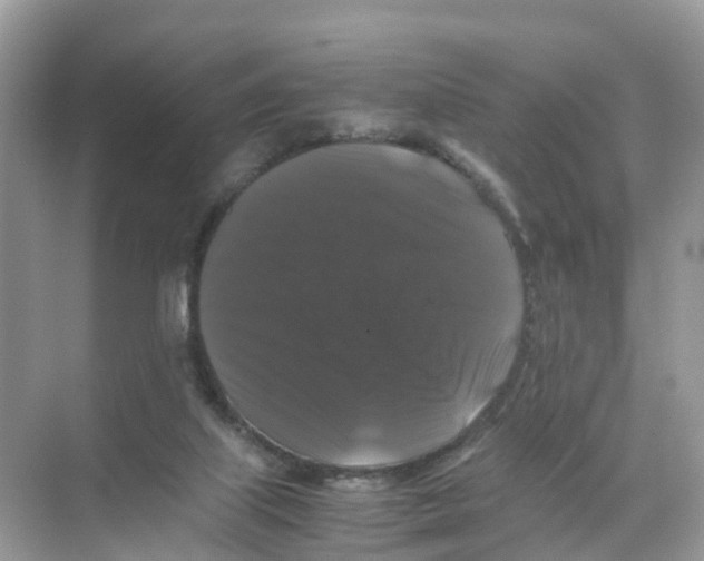 X0000070170067200606231931