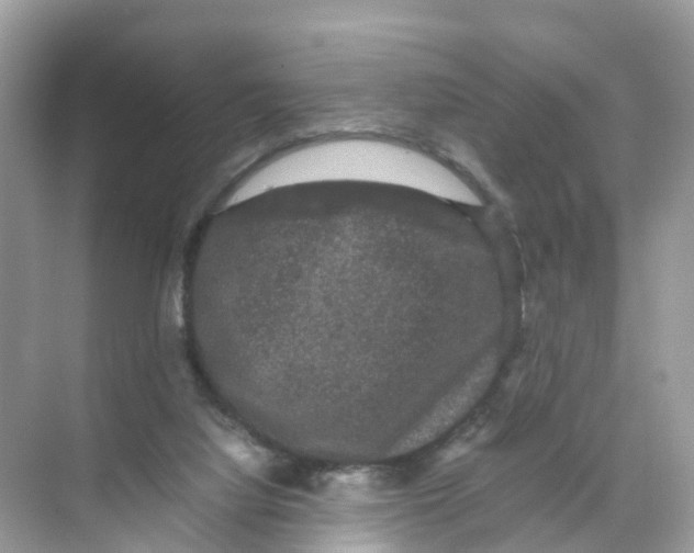 X0000070170068200606231932