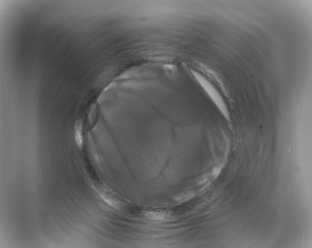 X0000070170069200606231932