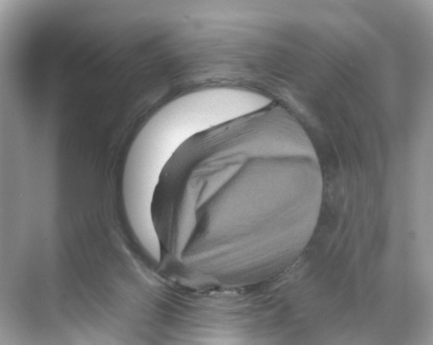 X0000070170070200606231932