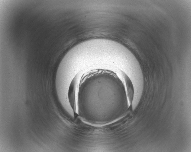 X0000070170072200606231932