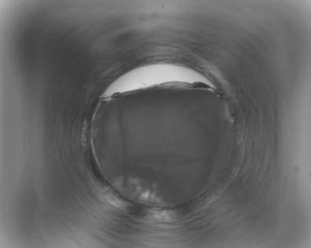 X0000070170073200606231932