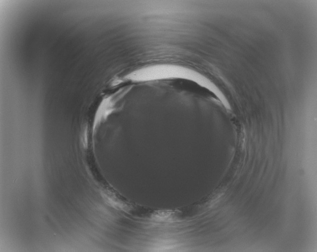 X0000070170076200606231932