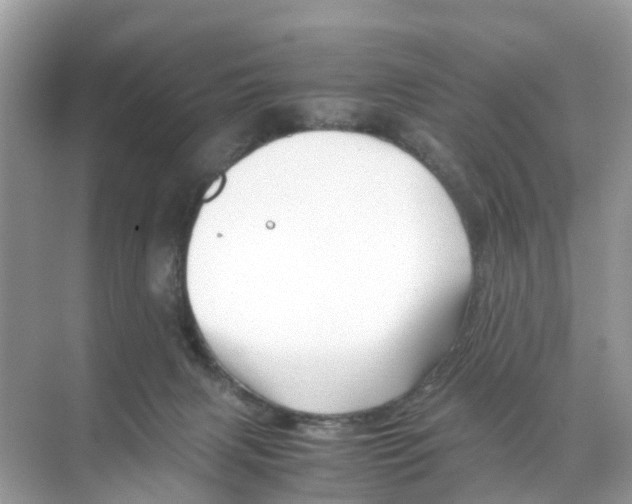 X0000070170079200606231932