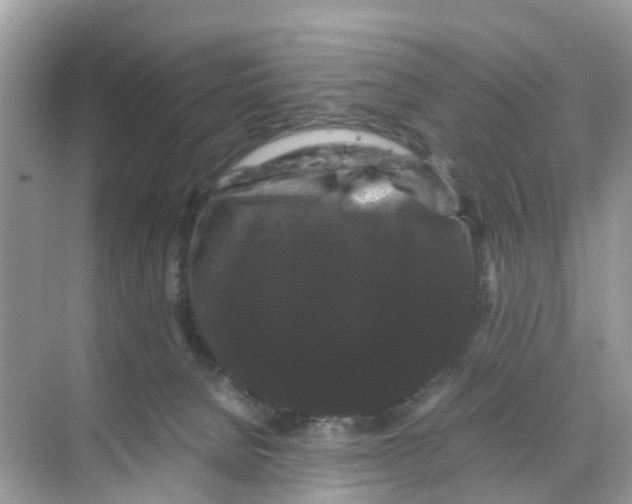 X0000070170080200606231932